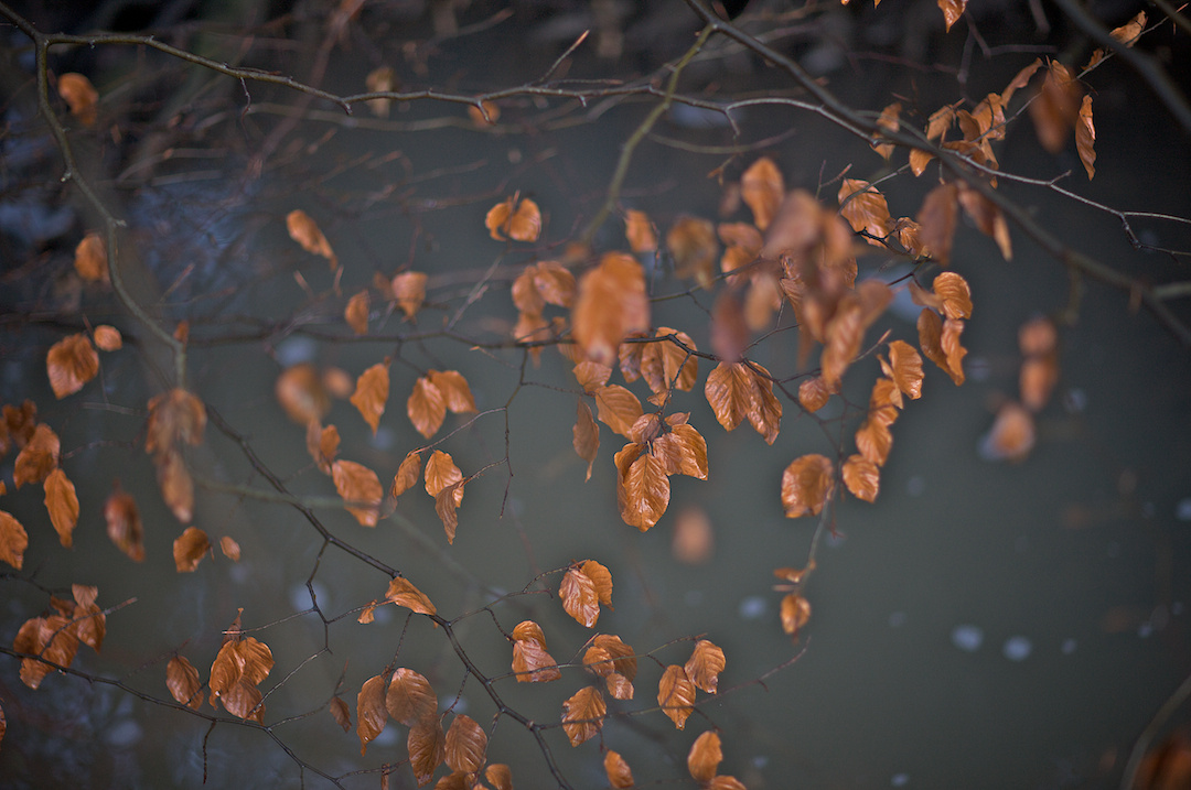 Derbyshire — photograph 9 by Clive Booth