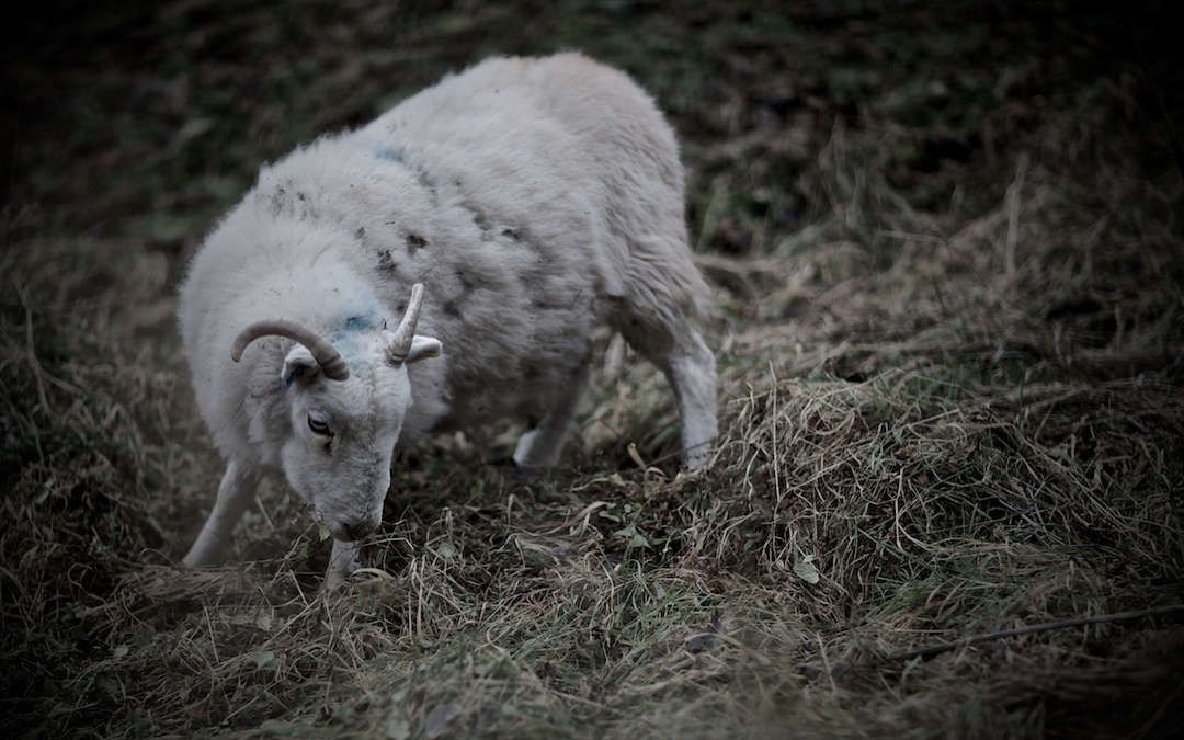 Derbyshire — photograph 14 by Clive Booth
