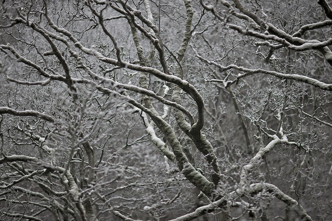 Derbyshire — photograph 15 by Clive Booth