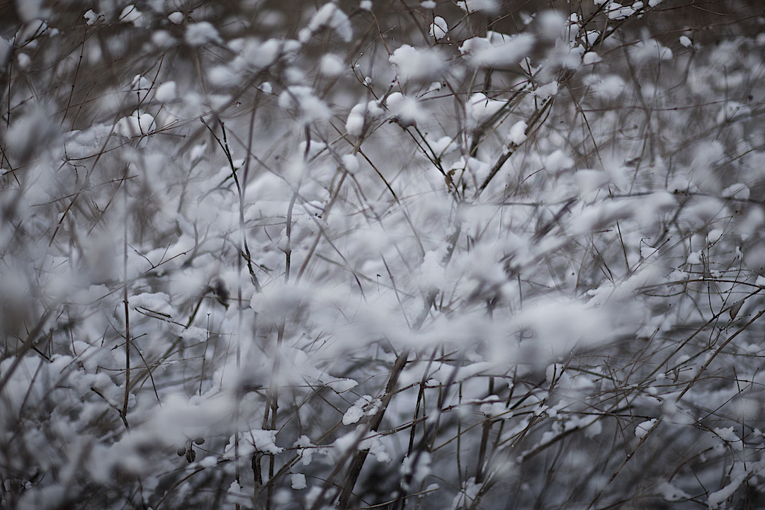 Derbyshire — photograph 17 by Clive Booth