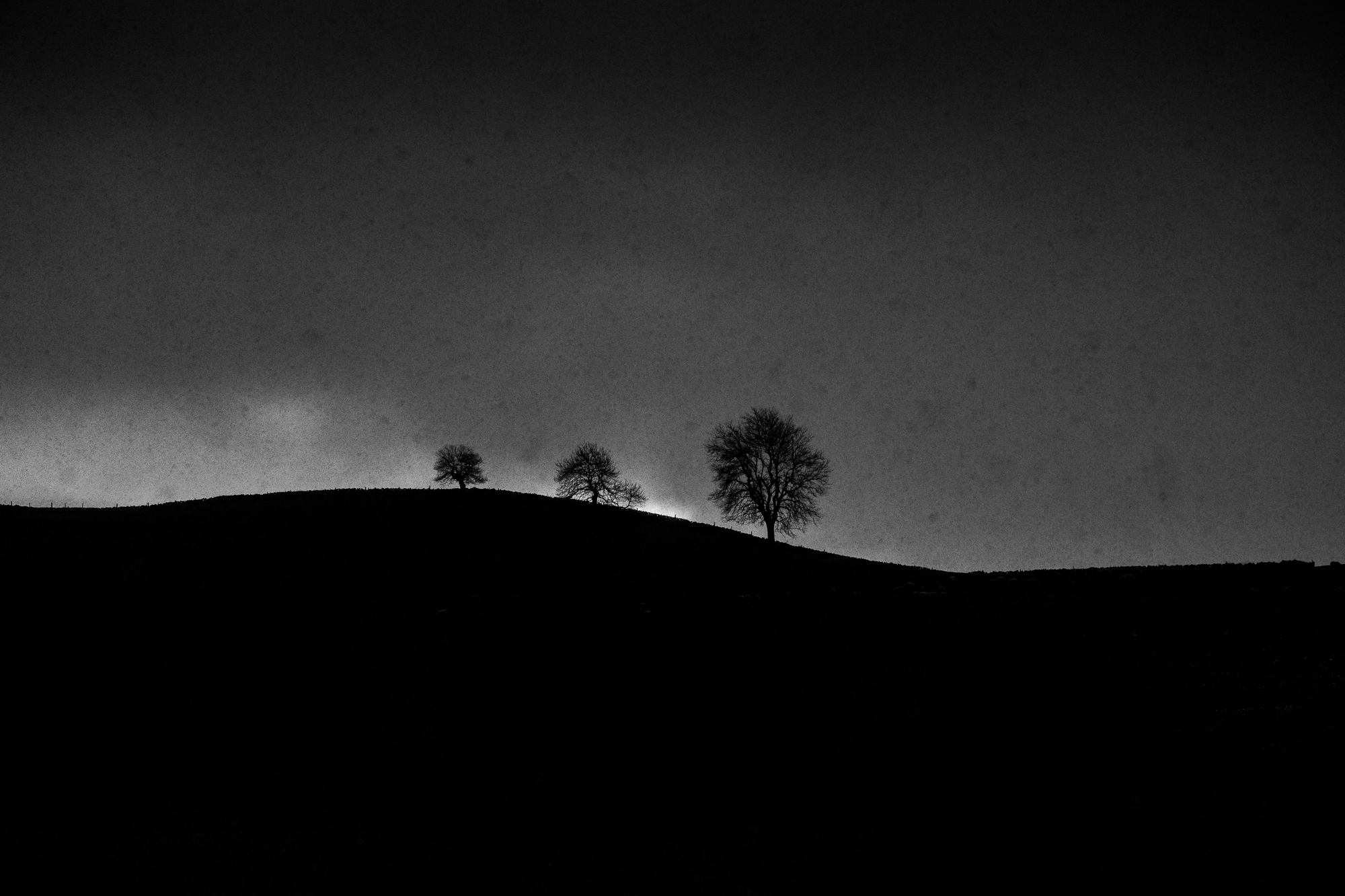 Trees silhouetted along a Derbyshire ridge