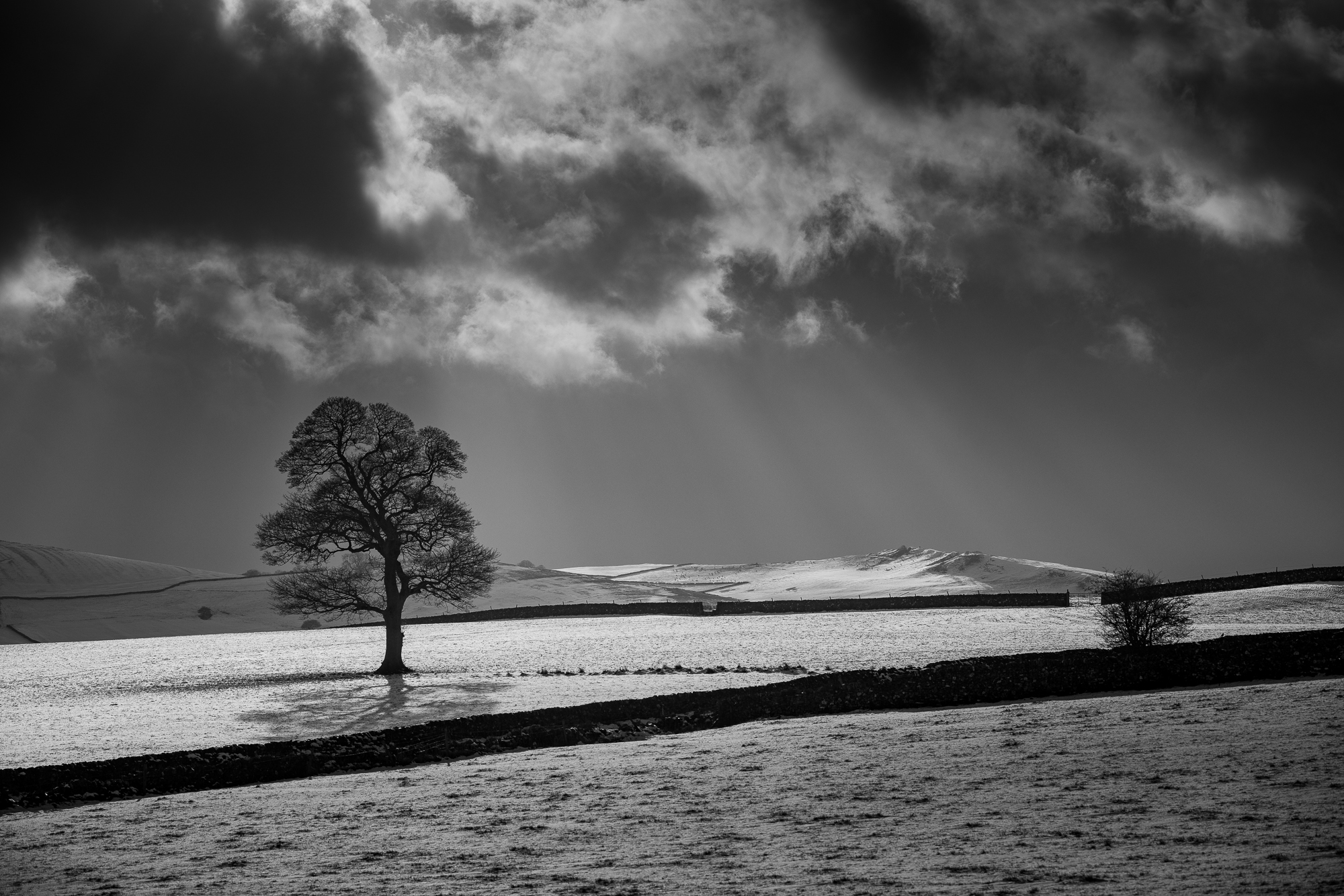 A lone tree in a snowy Derbyshire landscape beneath dramatic clouds