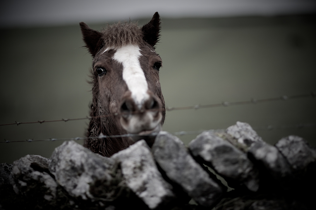 Derbyshire — photograph 23 by Clive Booth