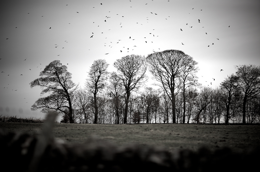 Derbyshire — photograph 24 by Clive Booth
