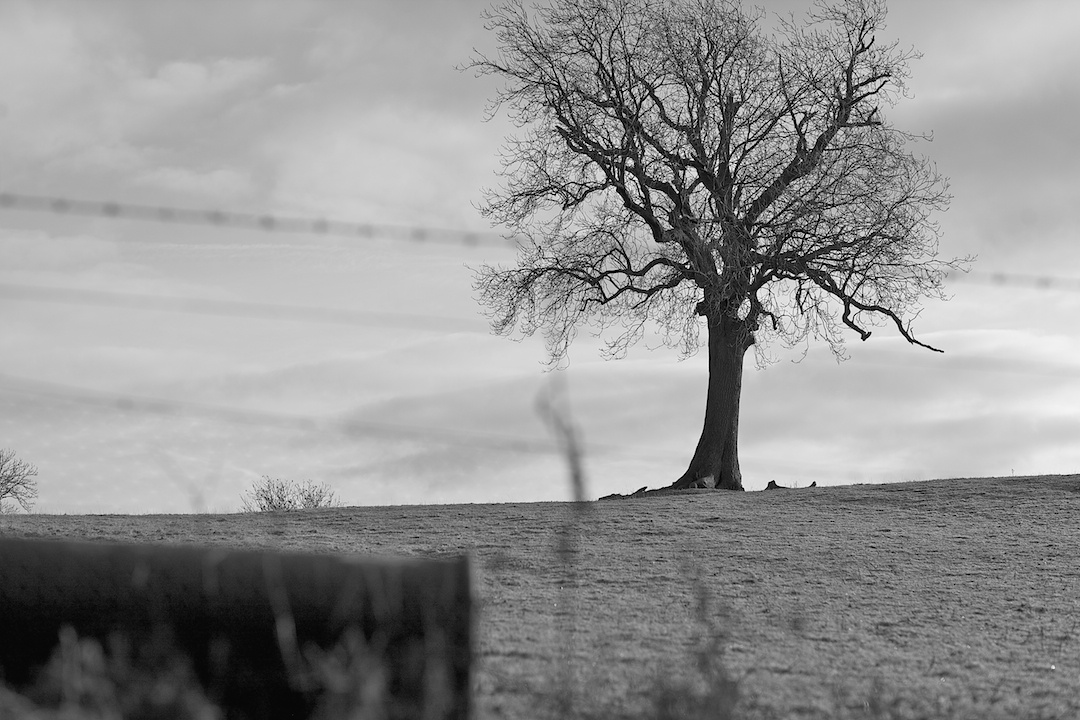 Derbyshire — photograph 26 by Clive Booth