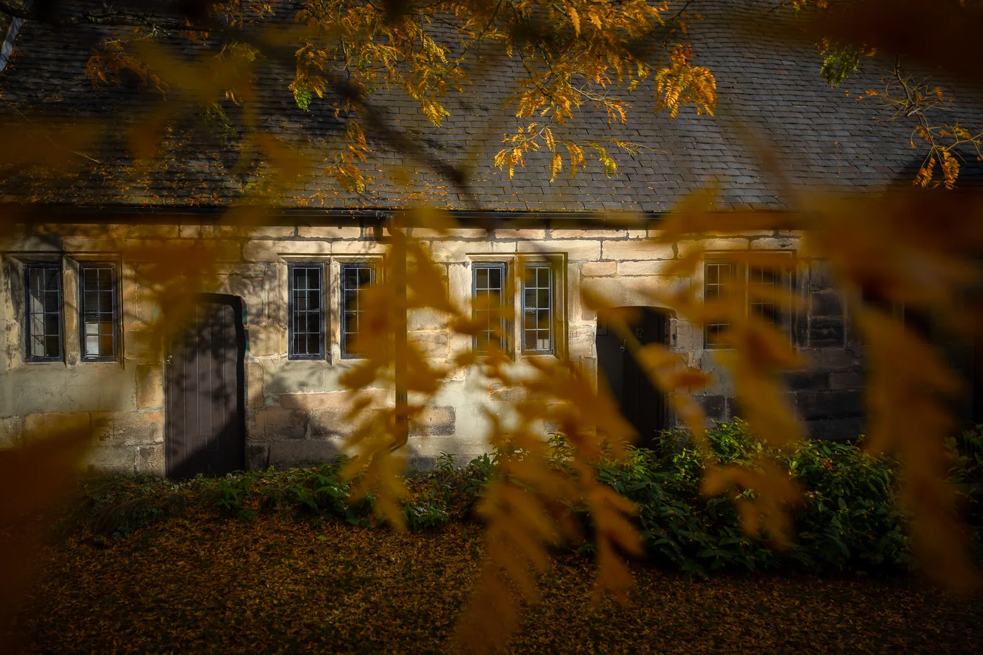 Stone exterior framed by autumn leaves at 42 Church Street