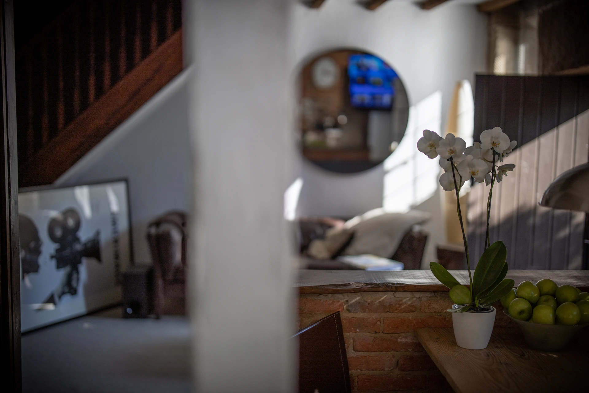 Orchid and sitting-room details at 46 Church Street, Ashbourne