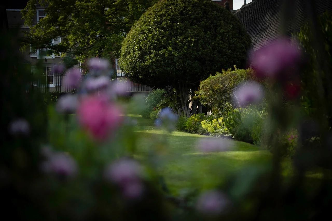 Shared garden framed by flowers at 46 Church Street