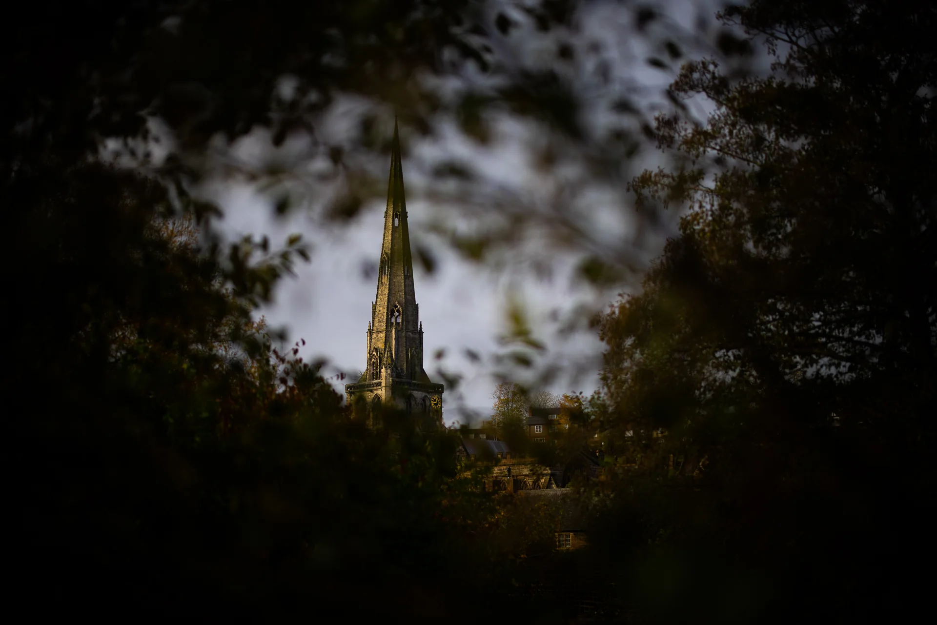 Ashbourne church spire framed by trees