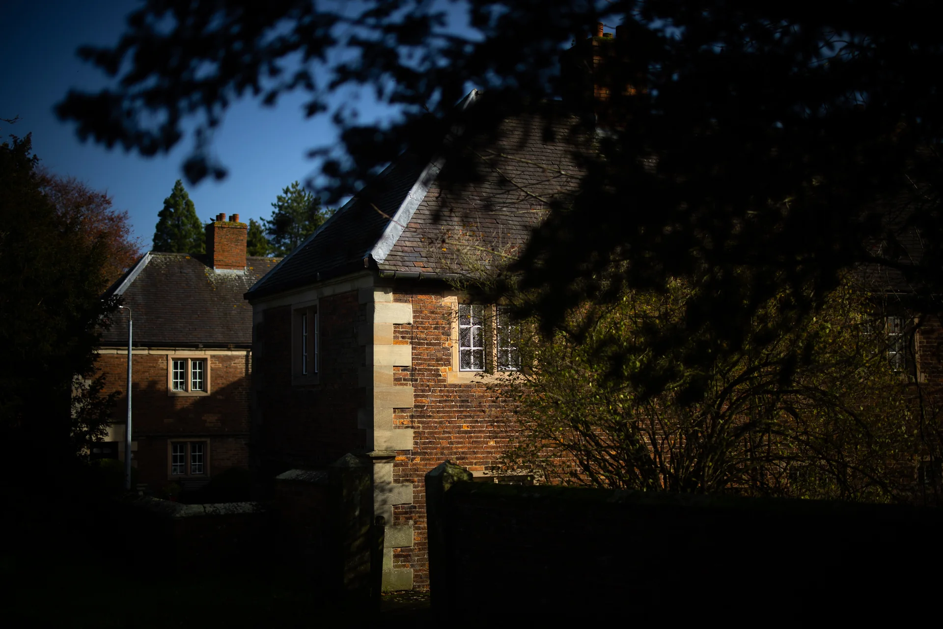 Sunlit brick houses framed by trees in Ashbourne