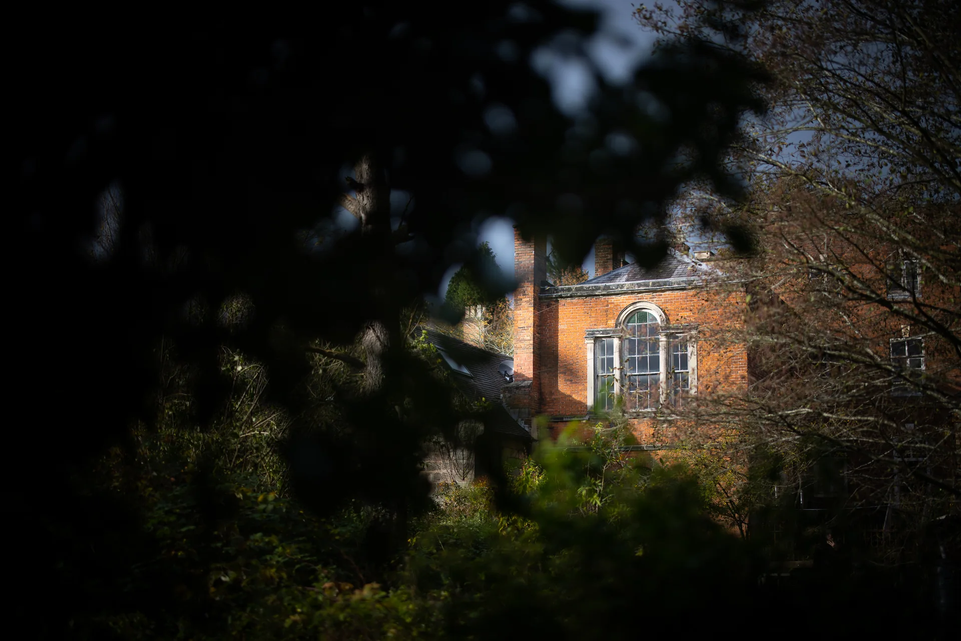 Red brick building with an arched window behind foliage