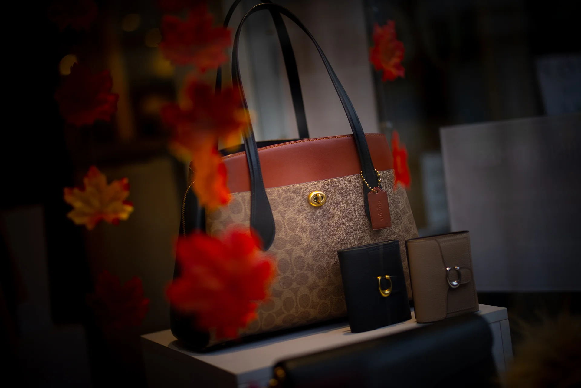 Handbags and accessories in an autumn shop window display